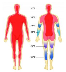 Temperature based on body parts