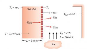 Model for measuring internal temperature and body skin